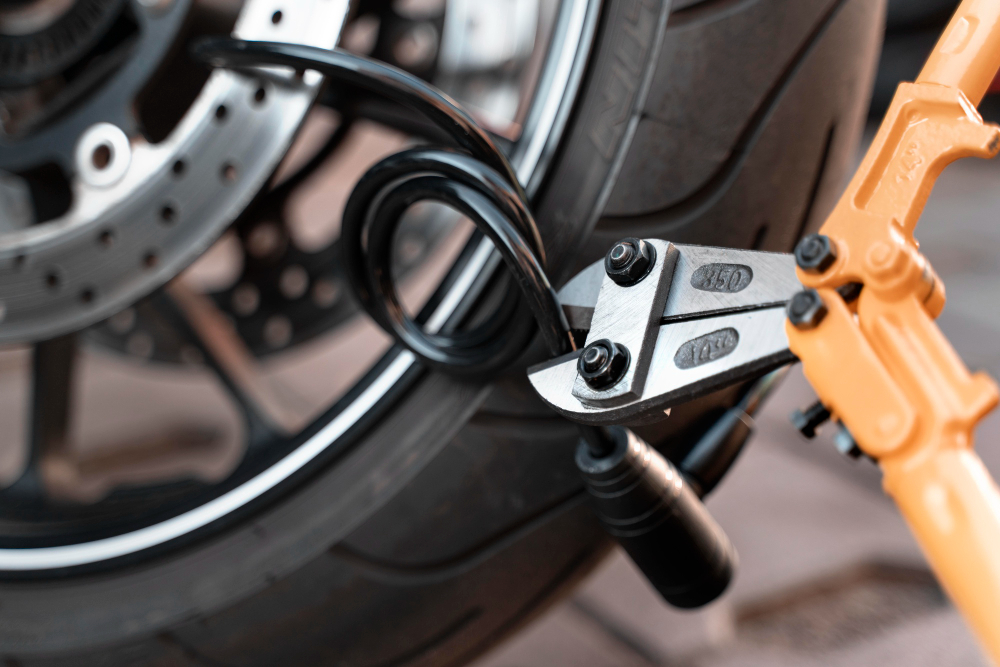 Disc Locks